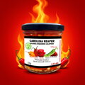Wysterilyzowane chili Carolina Reaper, Jolokia, Jalapeno 110g