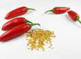 Nasiona jalapeño