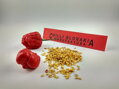 Nasiona Trinidad Scorpion Red