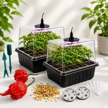 CHILLI POSIEW i GROW BOXY