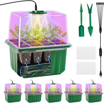 CHILLI POSIEW i GROW BOXY