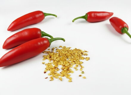 Nasiona jalapeño