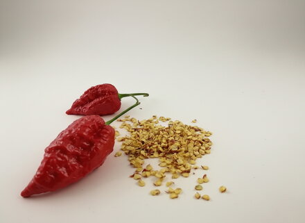 Nasiona Naga Morich red 