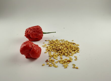 Nasiona Trinidad Scorpion Red