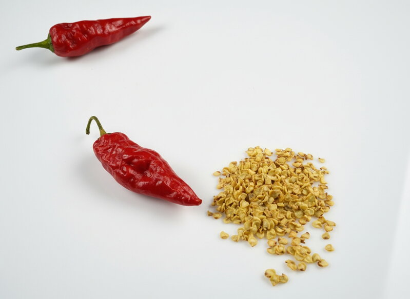 Nasiona Bhut Yolokia Red